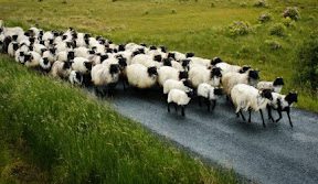 How to Eliminate Leadership Development Roadblocks