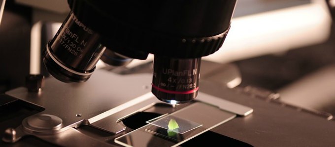 EEOC’s Guidance Under the Microscope