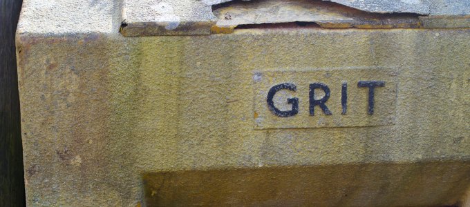 True Talent Management Grit