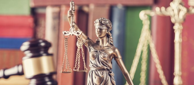 Making the Case for Diverse Firms