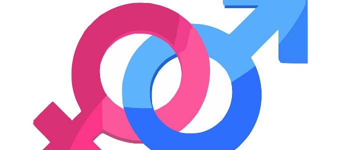 Decoding Gender