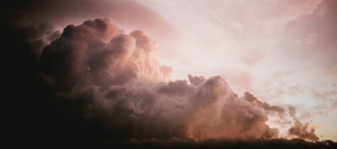 Harvard Professor: How Executives Should Deal With Crises
