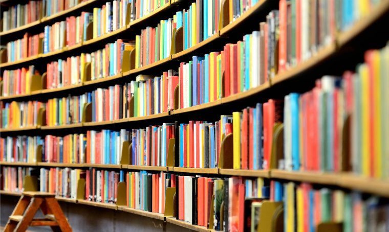 knowledge curator