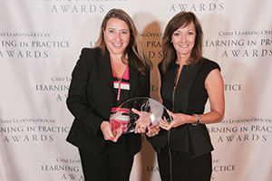Excellence in E-Learning