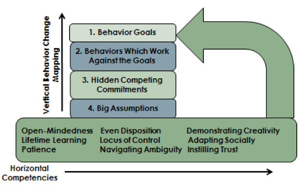 HV Model of Global Leadership