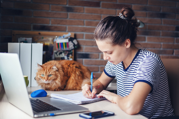 Udacity opens up Nanodegree program offerings amid coronavirus outbreak