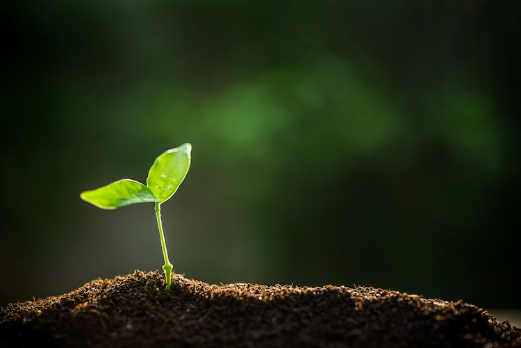 Working amid Coronavirus: 3 ways coaching can help