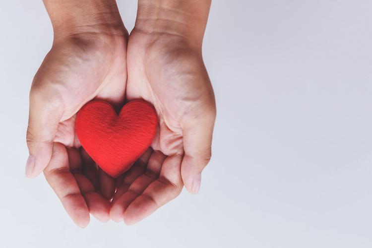 Building stronger leaders through volunteerism and mentorship