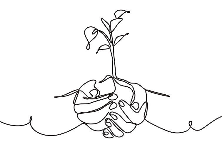 Cultivating a DEI garden where seeds of innovation grow into creative breakthroughs