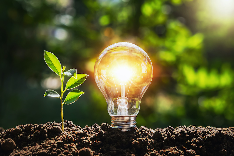 Flipped learning for talent development: Lessons from the college classroom