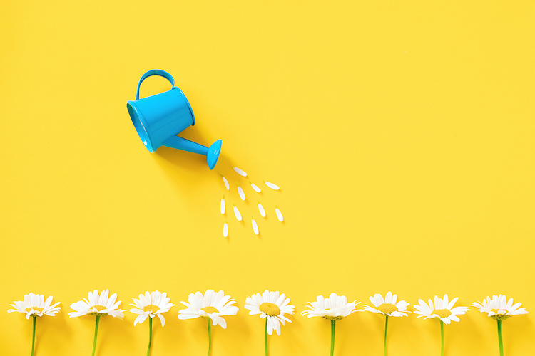 No time to waste: Setting learners up for success now and for the future