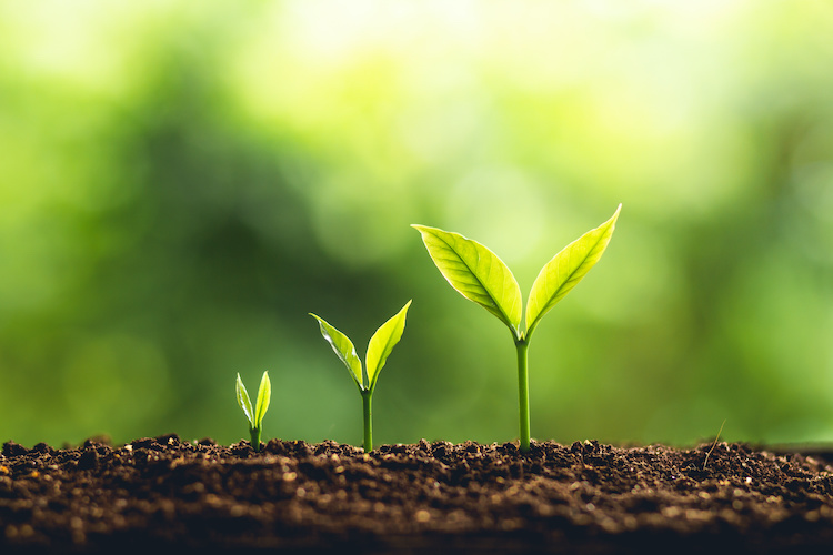 Does coaching deliver impact?