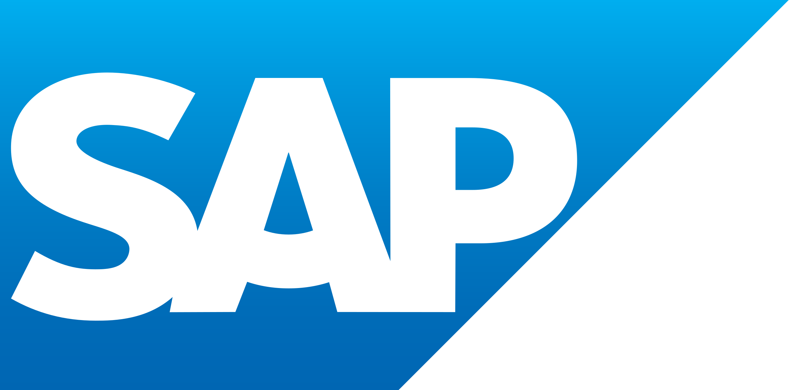 SAP_2011_logo.svg_.png