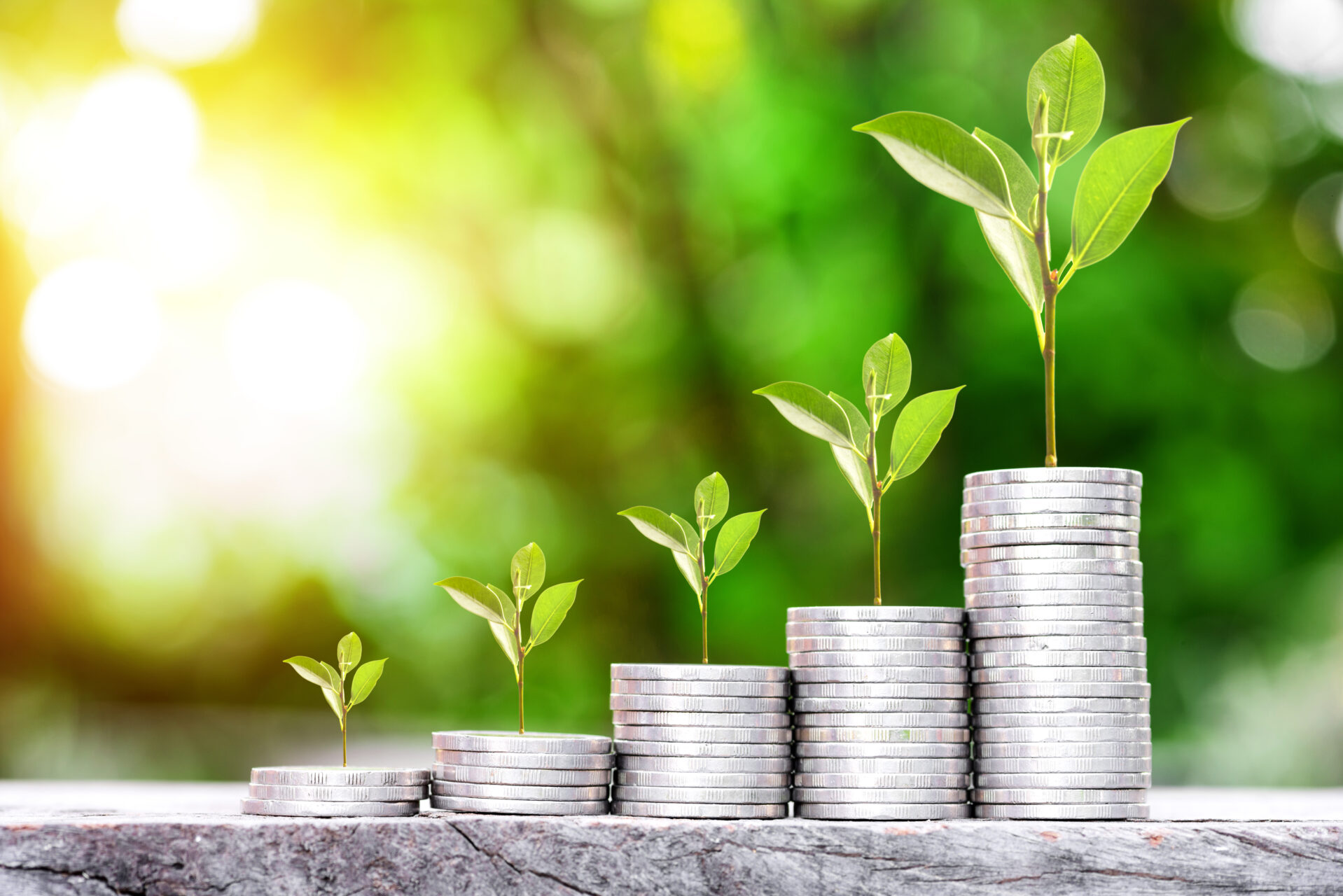 How to invest in learning technologies as recession looms