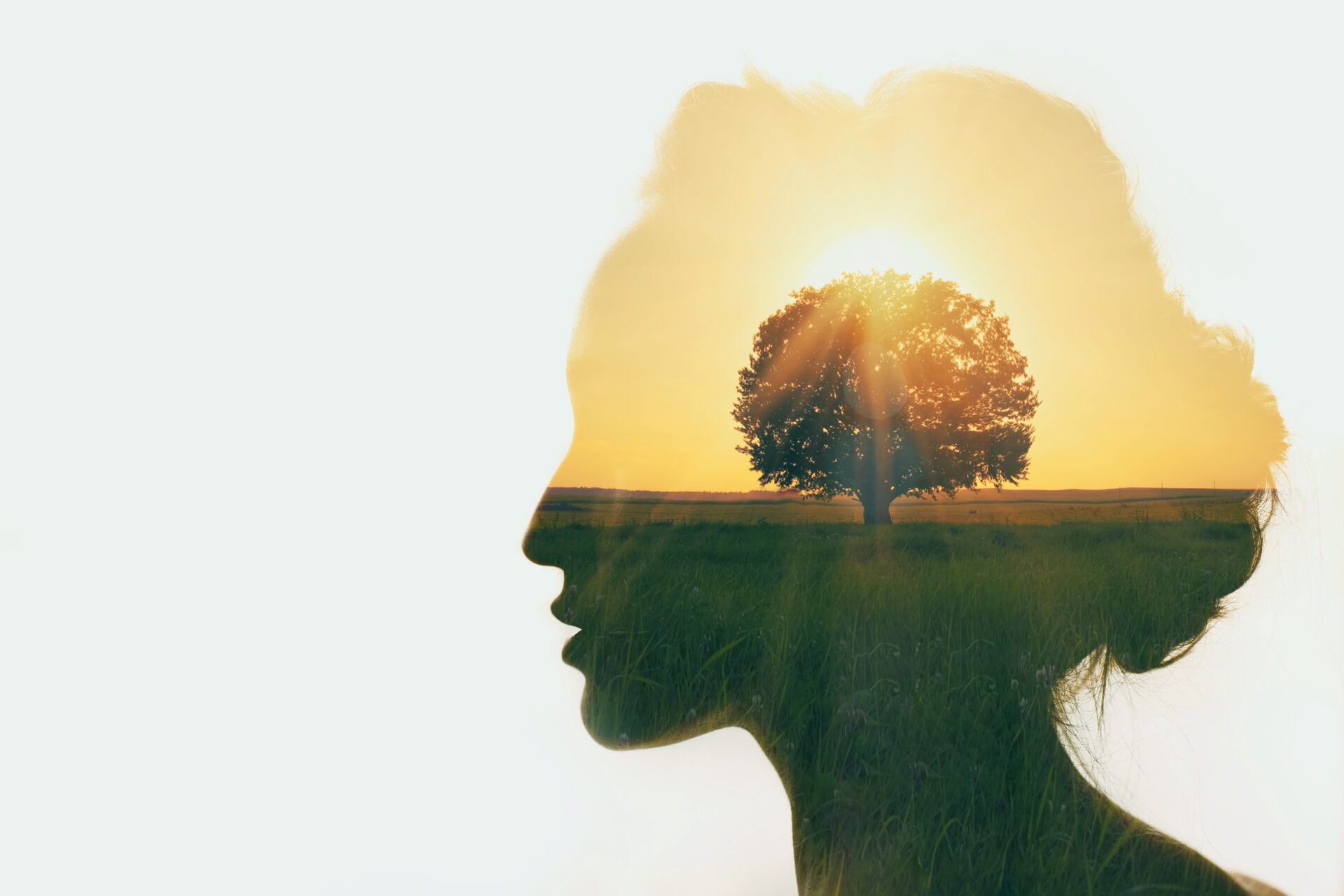 Prioritizing personal development as a CLO